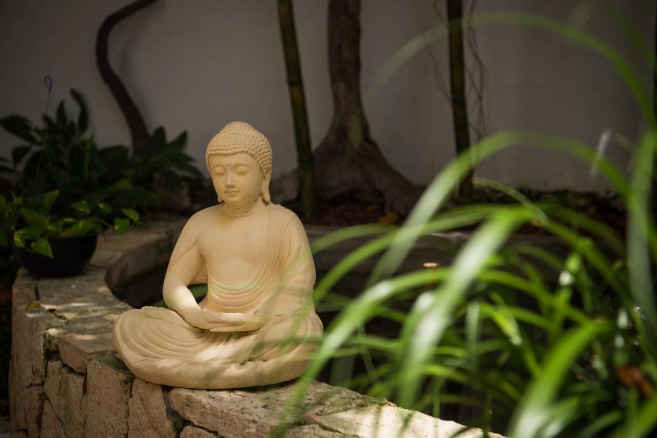 Ocean Zen On 5th Avenue - Adults Only Apart-hotel 4*
